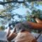 Govana – Mawning Sir (Official Video)